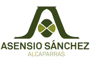 Logotipo de Asensio Sánchez